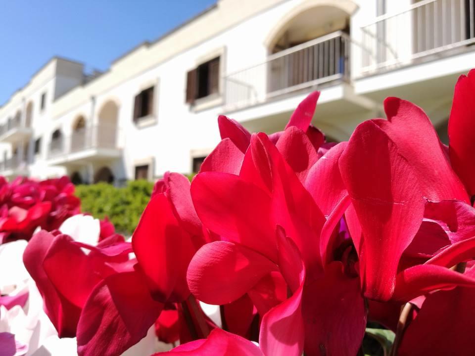 Villaggio Catalano Castellaneta Marina Exteriér fotografie